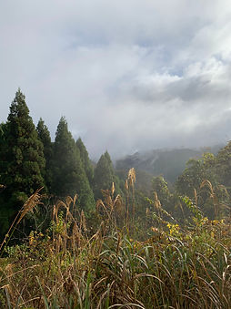 IMG_3646.jpeg