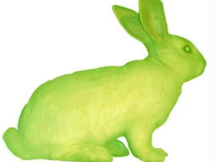 Ethical Concerns with BioArt 