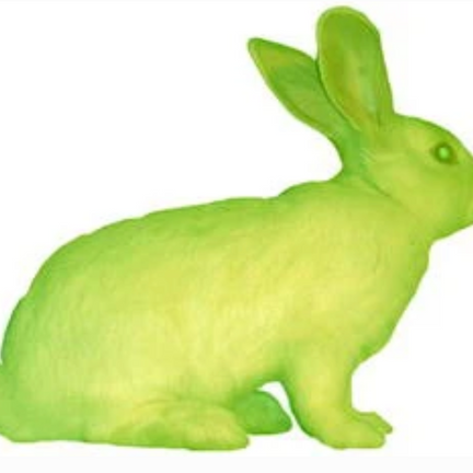 Ethical Concerns with BioArt 