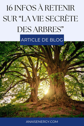 La Vie Secrète des Arbres : 16 infos à retenir 🌳