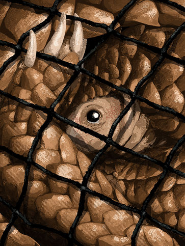 criminal, wildlife, trafficking, Malawi