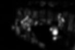 Live B&W photo by Matt Pitkoff