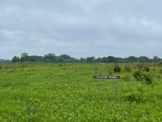 IMG_6040.jpeg