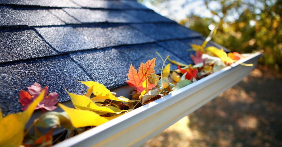 Gutter Cleaning Alpharetta.jpg