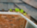 Small trees begin growing in metal gutters clogged with leaves and debris on a red brick r