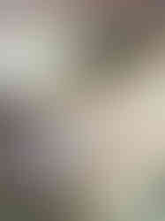 Lemon Cup" en grès, Pots d'Ania, avec sous-tasse feuille. Céramique artisanale, citron sculpté en relief. Couleurs naturelles