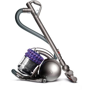 Dyson Ball Animal