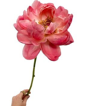 nous soutenir téléphone_edited.png