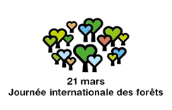 Journée Internationale des forêts le 21 mars 2023