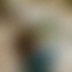 Mit allen Sinnen draussen: Warum Kinder unterwegs anders lernen als zuhause