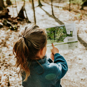 Mit allen Sinnen draussen: Warum Kinder unterwegs anders lernen als zuhause