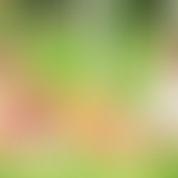 Essen unterwegs: Einfach anders als zuhause