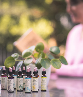 flacons de fleurs de bach sur une table dans une jardin