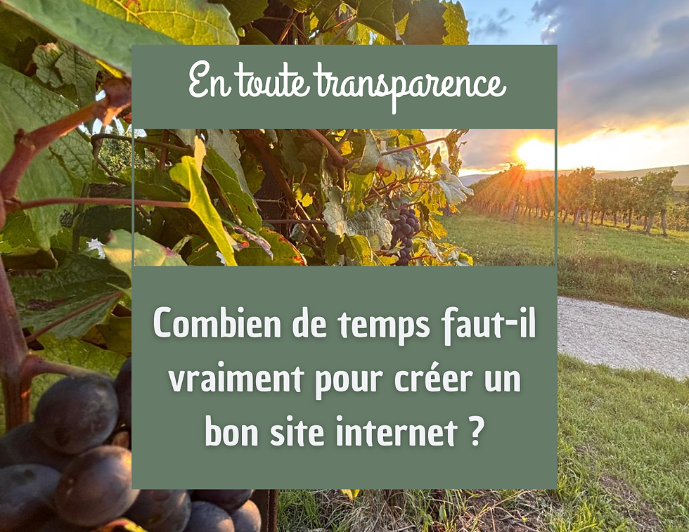 rang de vigne au soleil coucher