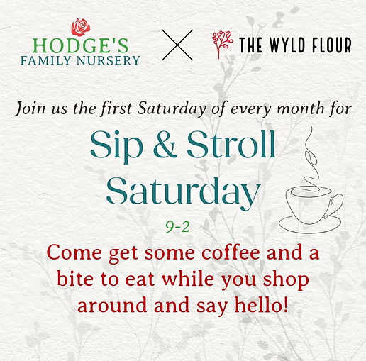 HFN Sip & Stroll Saturday Monthly.JPEG