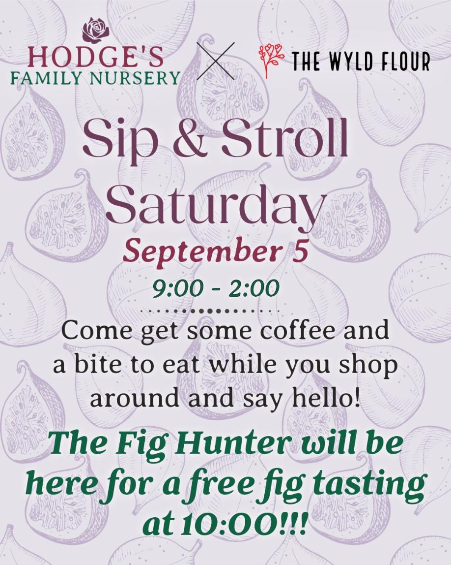 Sip & Stroll/Free Fig Tasting by The Fig Hunter