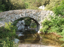 le petit pont