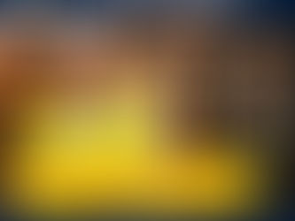 Operador Logístico: Qué es, Tipos y Funciones.