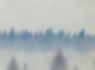 Foggy Forest