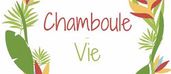 Chamboule-Vie