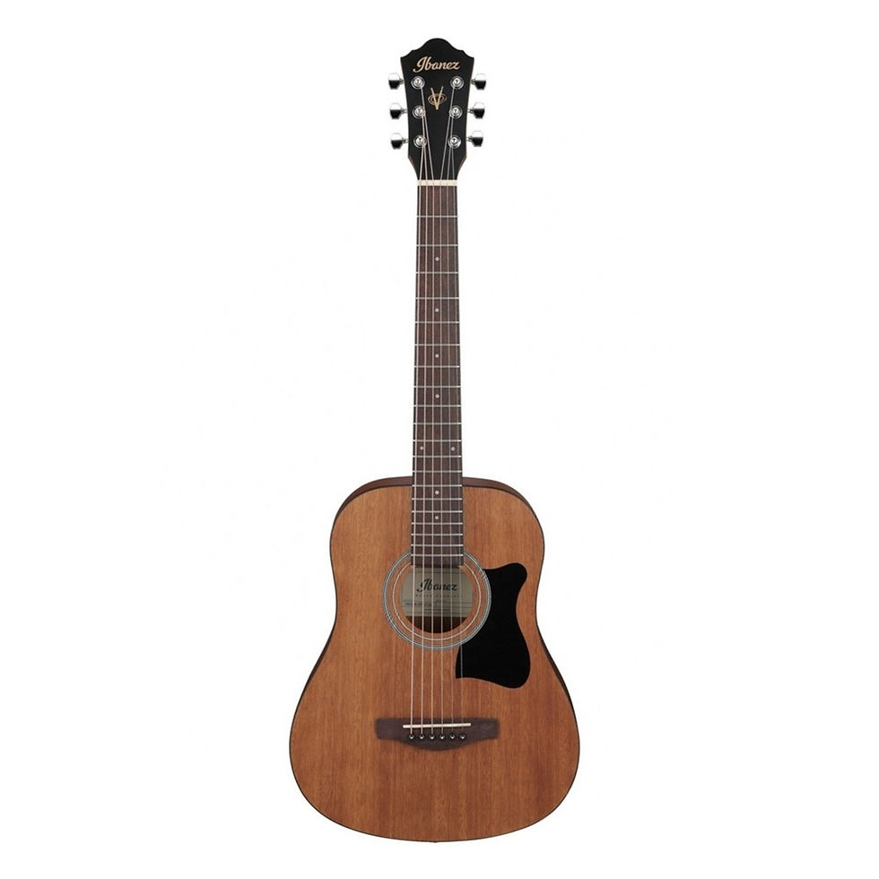 Image of Ibanez V44MINI 3/4 Acoustic - Open Pore Natural front view