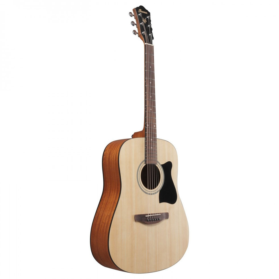 Image of Ibanez V40 Acoustic Guitar - Open Pore Natural front view at slight angle