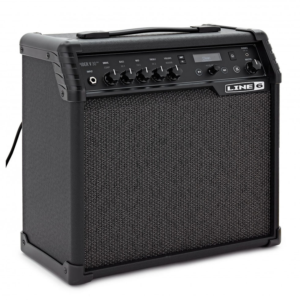 Front view at slight angle of Line 6 Spider V 30 MkII Guitar Amp