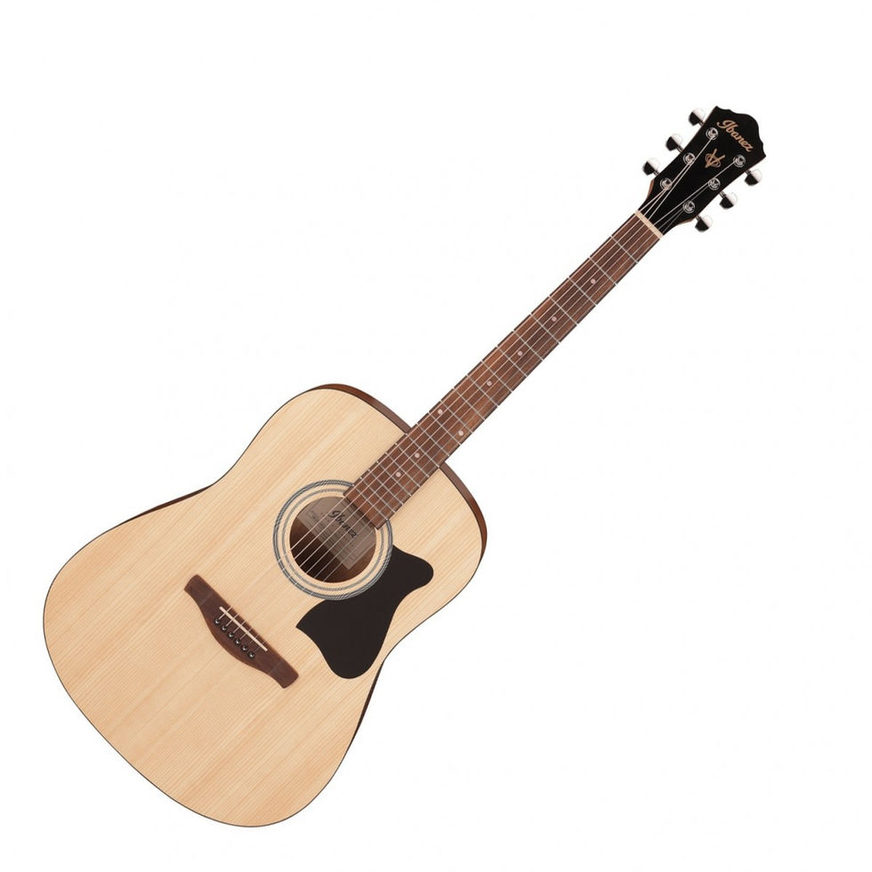 Image of Ibanez V40 Acoustic Guitar - Open Pore Natural front view at 45 degrees