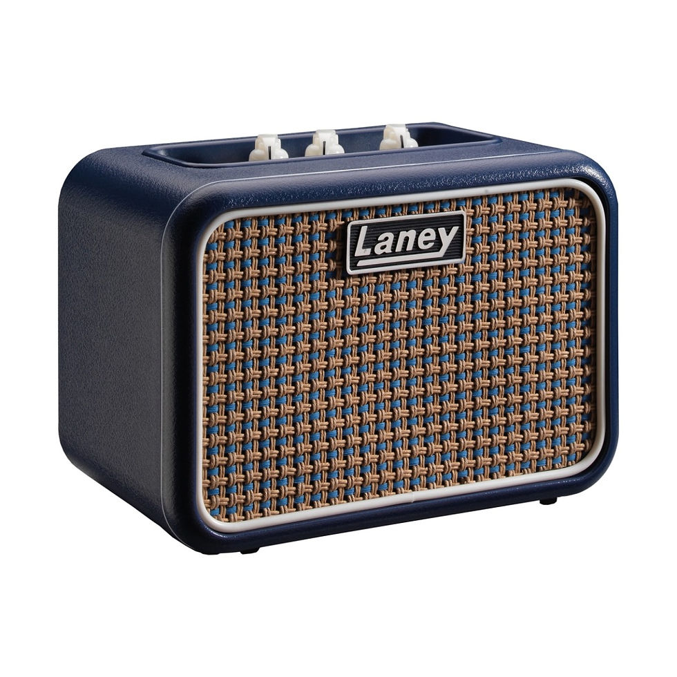 Image of Laney Mini-lion 3w Guitar Amp front view at slight angle