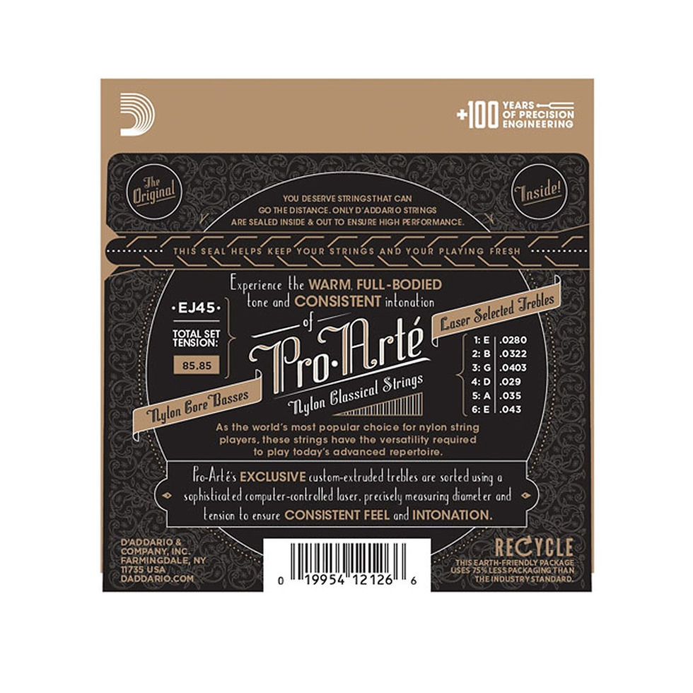 Image of D'Addario EJ45 Pro-Arte Nylon Normal Tension back view