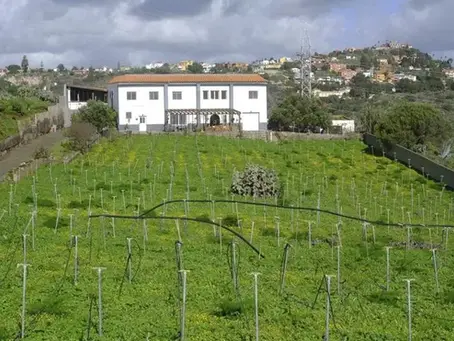 Visit from La Provincia