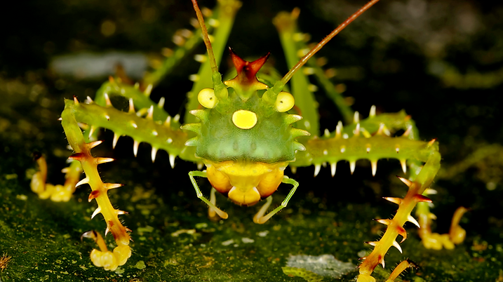 Screen Shot 2022-06-09 at 8.55.25 AM.png