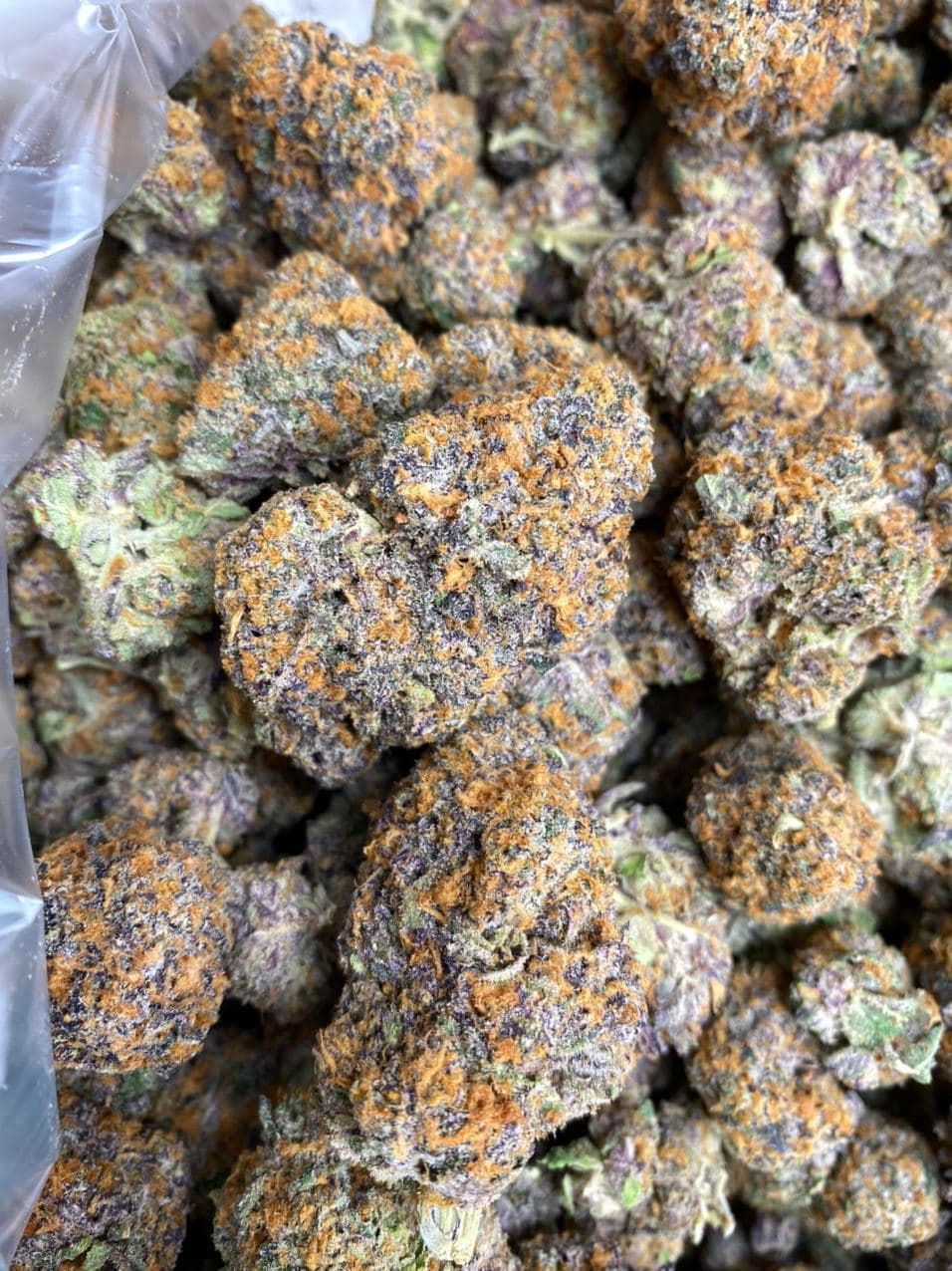 Thumbnail: BLUEBERRY GELATO (Discount)