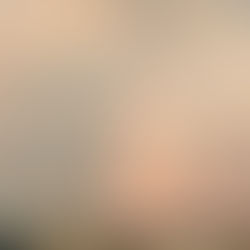 【梅雨の終わりに】