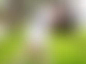 Chad & Dana's Engagement