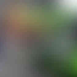 Forklift unloading boxed stadium seating systems at Fermanagh GAA ahead of installation