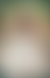 Review: In Search of a Prince by Toni Shiloh