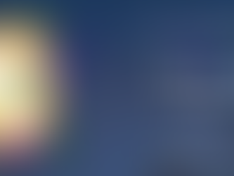 Review–Vivid