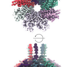 Pulling the Plug on Viral Infections: CRISPR isn’t Just About Cutting