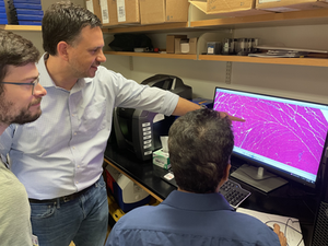 New Discovery Enables Gene Therapy for Muscular Dystrophies, Other Disorders