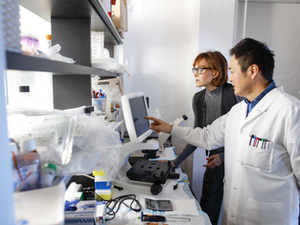 Rochester and Albany launch new Center of Excellence in RNA research