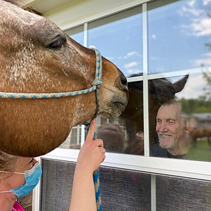 Horses of Hope