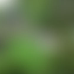 Guide d'Installation Gardenmark - Gazon Synthétique au Québec