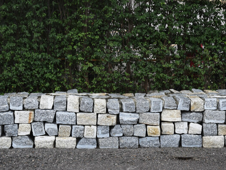 Idées de Bordures de Pelouse pour une Cour Arrière Professionnelle au Québec