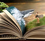 Buch-Hai-Surferin