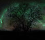 Nordlicht am Bungtbach