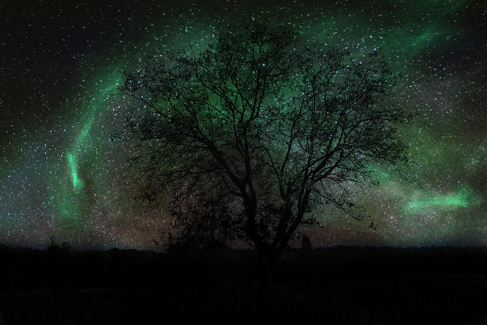 Nordlicht am Bungtbach