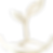 Wachstum