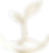 Wachstum