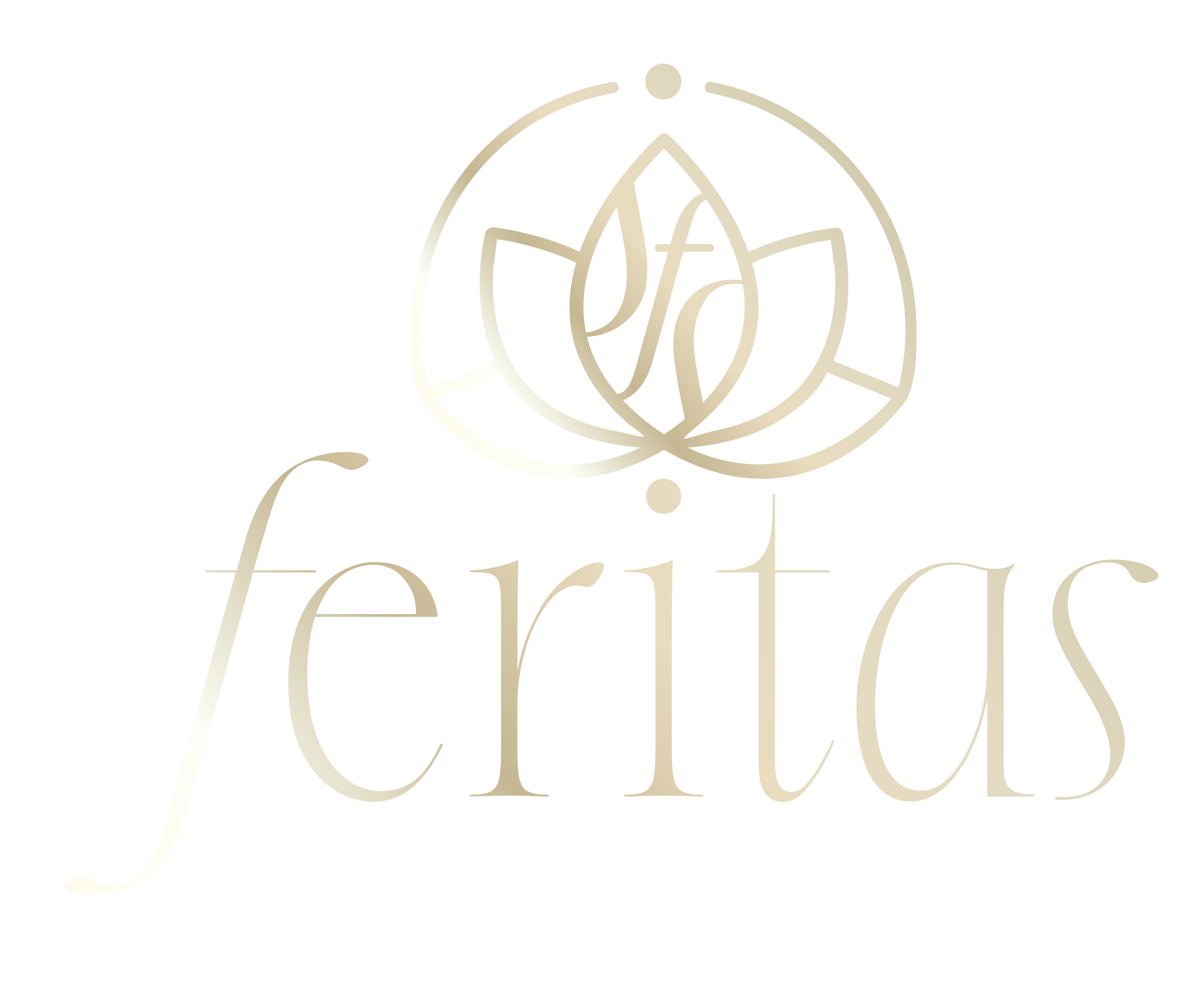 feritas logo ohne claim